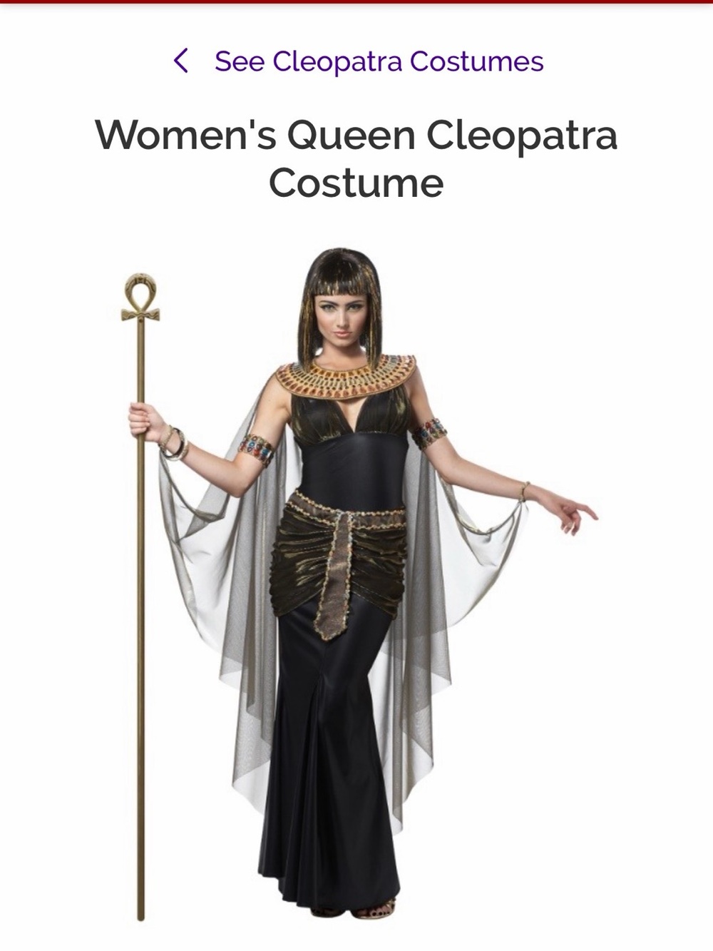 California Costumes Cleopatra Gold and Black Egyptian Costume